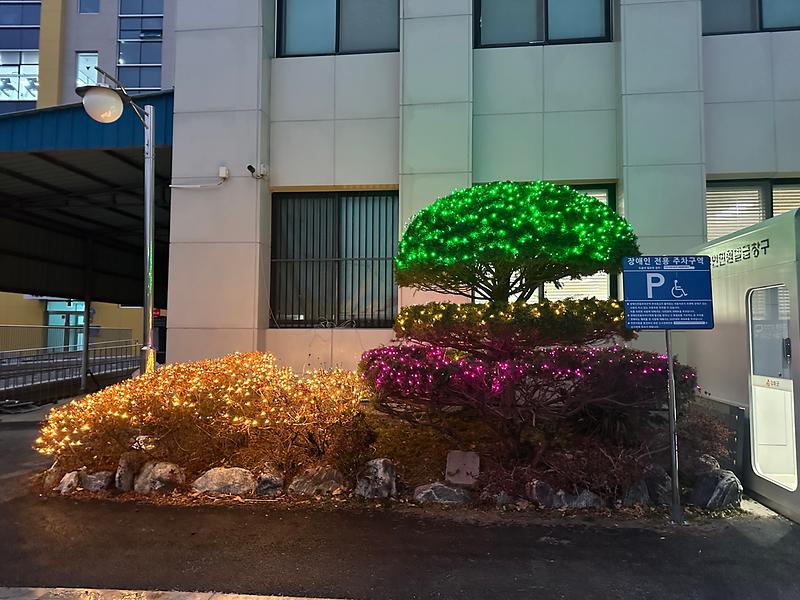 하점면,_반짝이는_경관조명으로_연말연시_맞이