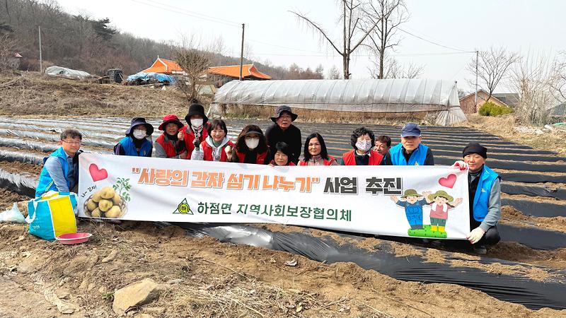 하점면_지역사회보장협의체,_“이웃_나눔을_위한_감자_심었어요!”