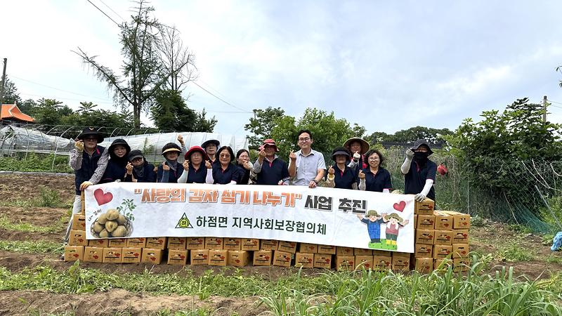 하점면_지역사회보장협의체,_휴경농지에서_수확한_감자_나눔의_장으로