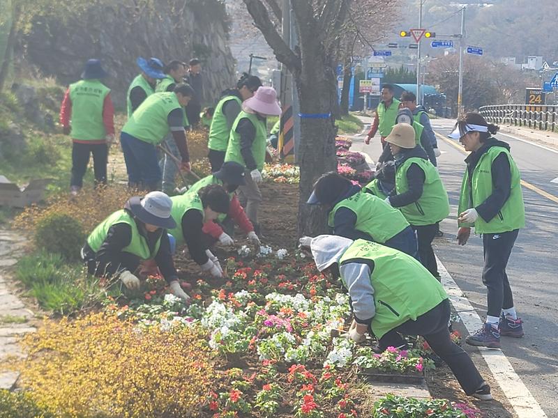 화도면_주민자치위원회,_봄꽃_식재로_따뜻한_봄기운_선사