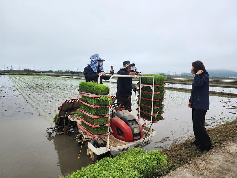 화도면,_모내기_영농_현장_방문_격려