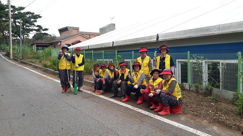 내가면_자원봉사상담가,_꽃_화단_정비