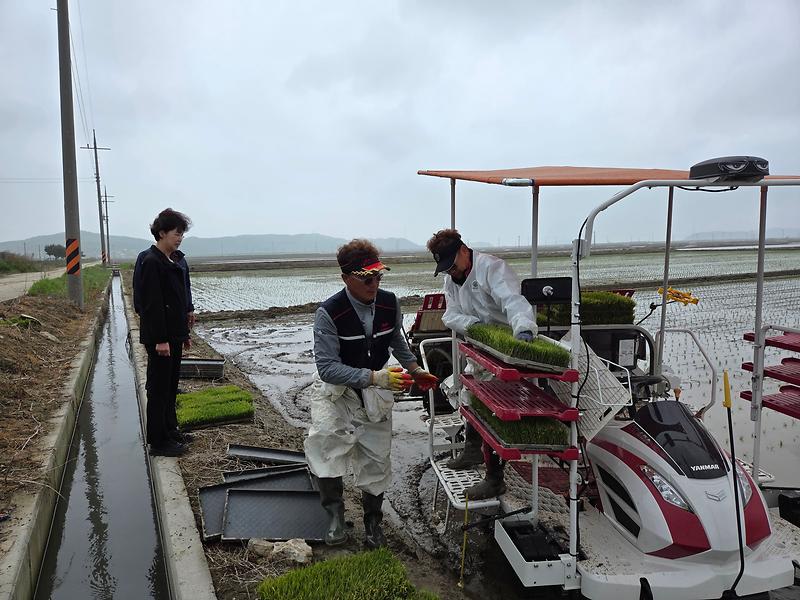 삼산면,_모내기_현장_방문_격려