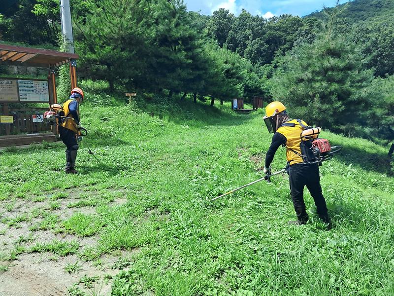 산림사업_48억원_투입_(1)