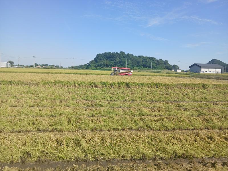 서도면,_주문도리에서_첫_수확_거둬