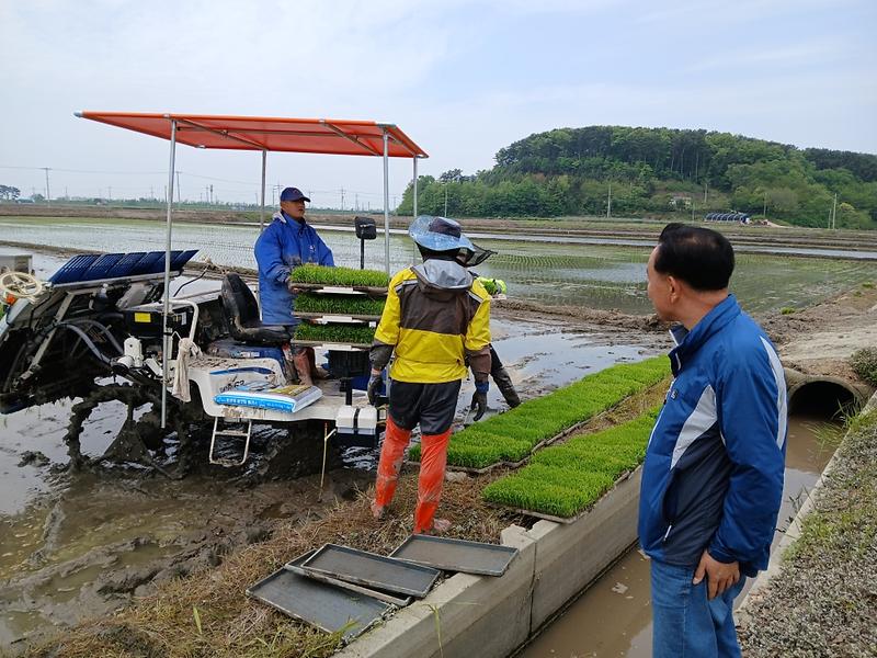 서도면,_풍년_농사_기원을_위한_모내기_현장_방문