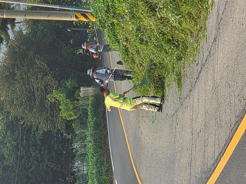 선원면_이장단,_깨끗하고_안전한_도로_환경_조성