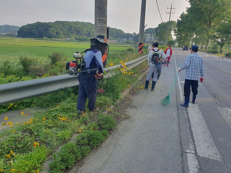 선원면 새마을지도자, 호국돈대길 제초 작업에 구슬땀 사진
