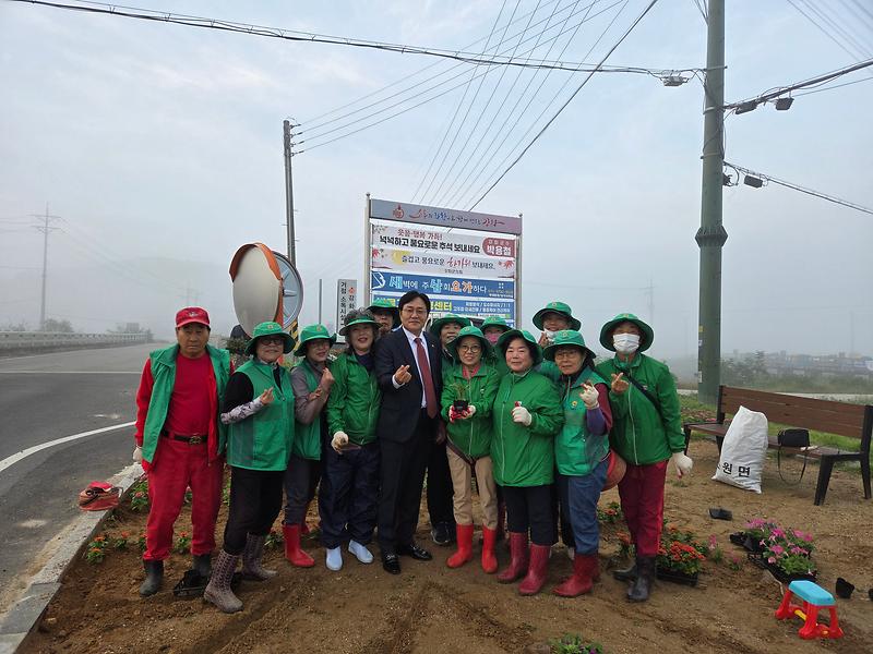 선원면_새마을남녀지도자,_가을꽃으로_빛나는_대청교_가꾸기