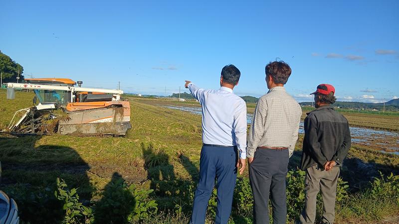 송해면,_가을장마에_멈춘_논…긴급_현장점검_실시