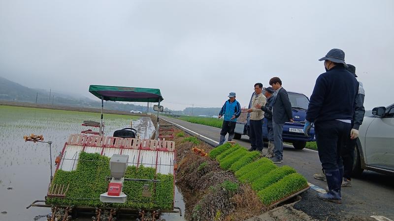 송해면,_모내기_농가_찾아_풍년_농사_기원
