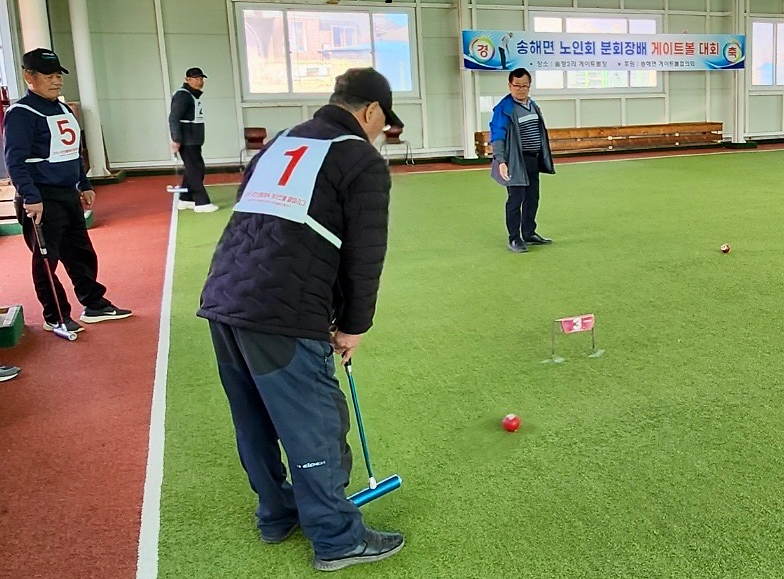 송해면,_노인회_분회장기_게이트볼대회_성료