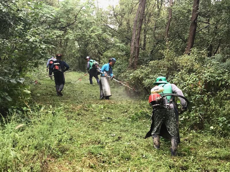 송해면_새마을지도자협의회,_추석맞이_공설_묘지_제초_작업