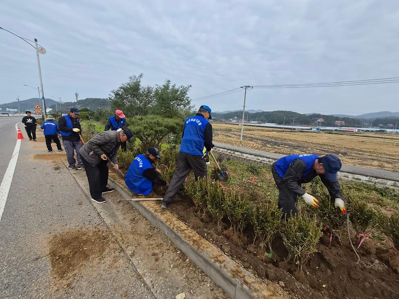 양도면_바르게살기위원회,_건평리_도로변_가로화단_환경정비에_앞장