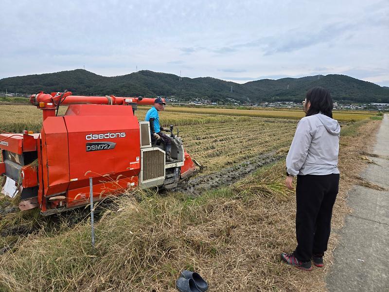 양도면,_가을장마로_시름_깊은_벼_농가_방문_노고_격려