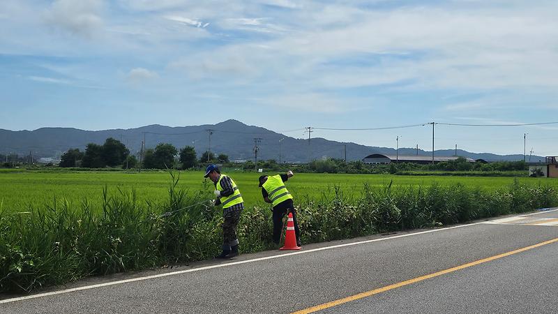 양도면_이장단,_하일리_도로변_가을철_화단_조성_준비