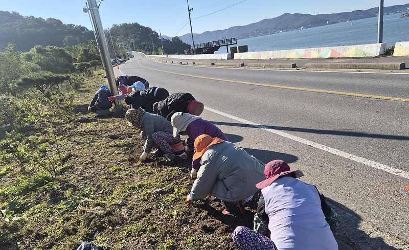 양도면_자유총연맹,_쾌적하고_아름다운_양도면_조성에_앞장