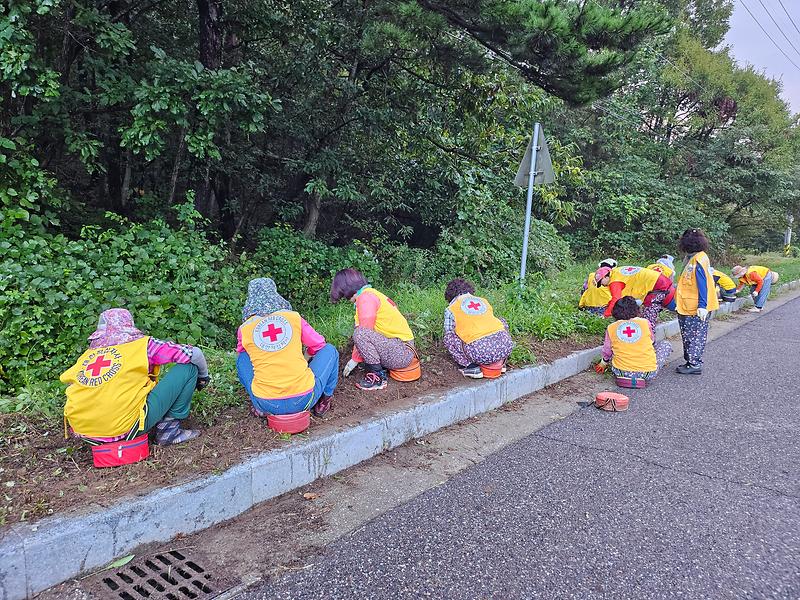 양도면_적십자부녀봉사회,_강화나들길_4코스_환경_정비_활동_실시