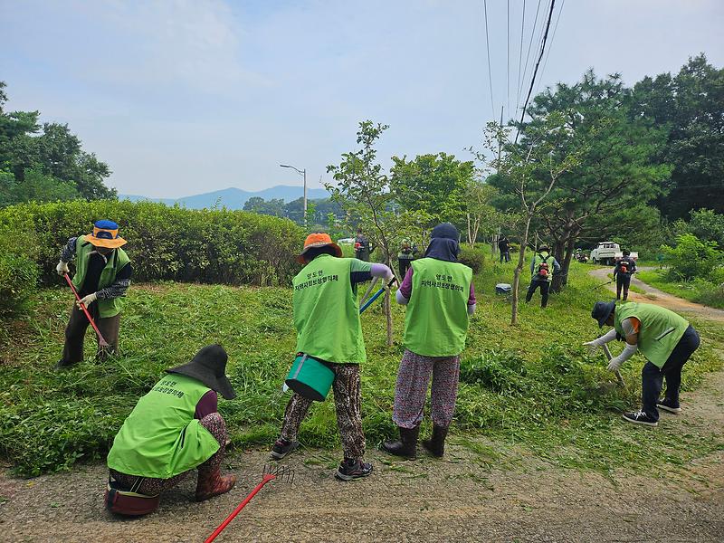 양도면_지역사회보장협의체,_강화나들길_4코스_화단_정비_활동