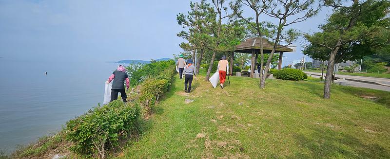 양도면_주민자치위원회,_“깨끗한_해양_환경_조성에_동참해요!”