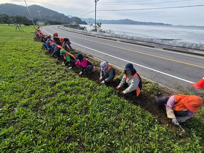 양도면_농가주부모임회,_건평리_해안도로_일대_가로화단_정비