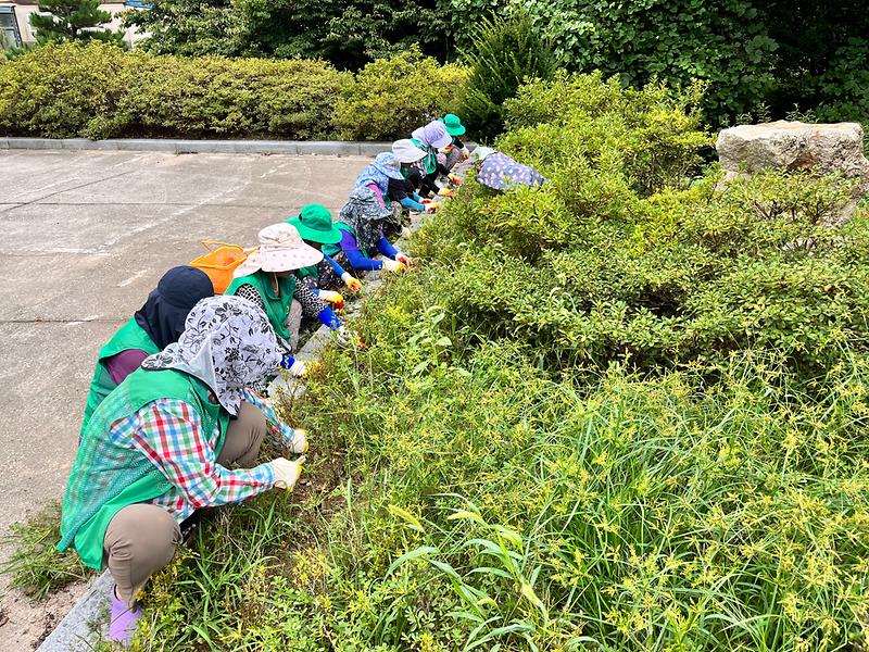 양도면_새마을부녀회,_“아름다운_강화나들길_만들기_앞장서요”