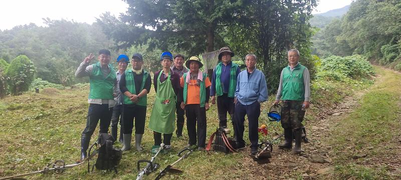 양도면,_새마을지도자회와_함께_공설_묘지_제초_작업_진행