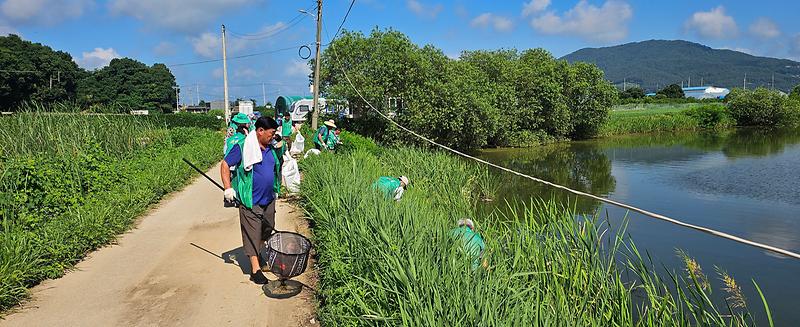 양도면_새마을남녀지도자,_삼흥천_일원_환경_정화_활동_펼쳐