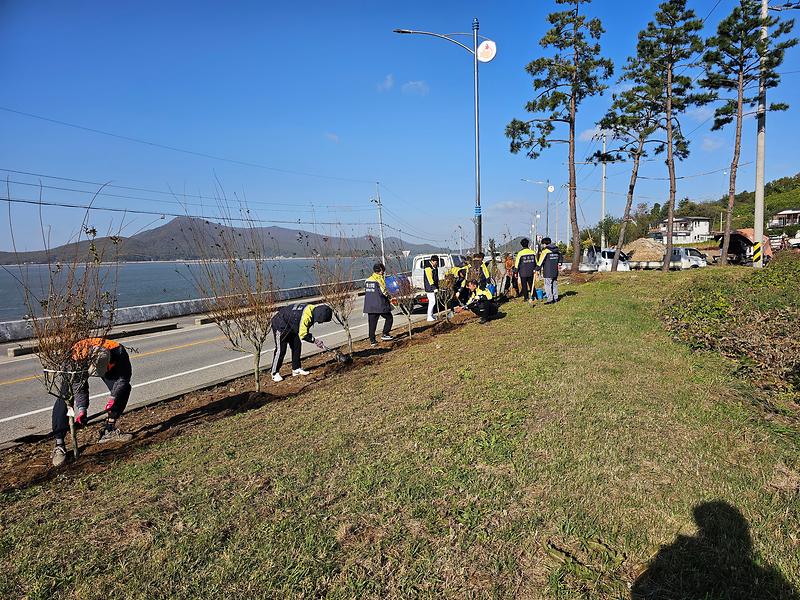 양도면_의용소방대,_건평리_해안도로_가로화단_단장