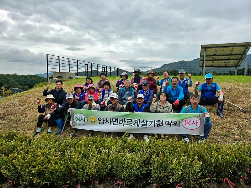 양사면_바르게살기위원회,_인화1리_클린화단에_영산홍_식재