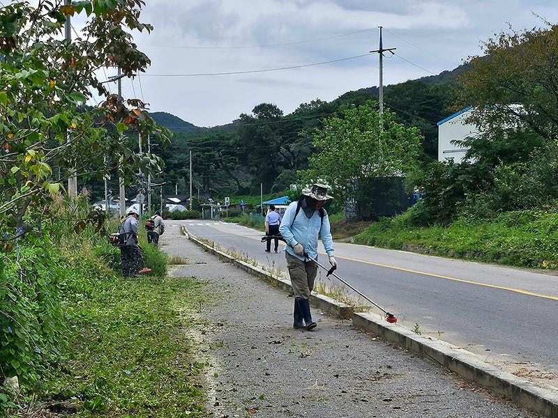 양사면_이장단,_추석_맞이_제초_작업에_앞장