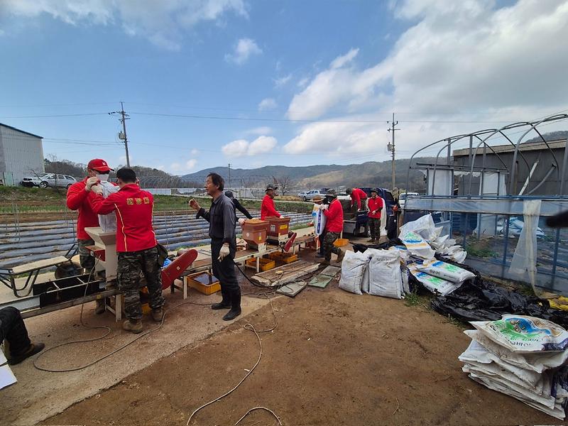 양사면,_농촌_일손_돕기_시작(1)