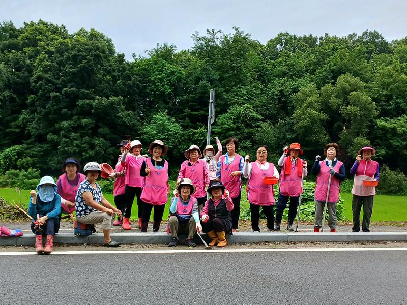 양사면_생활개선회,_서해랑길_따라_코스모스길_조성(1)