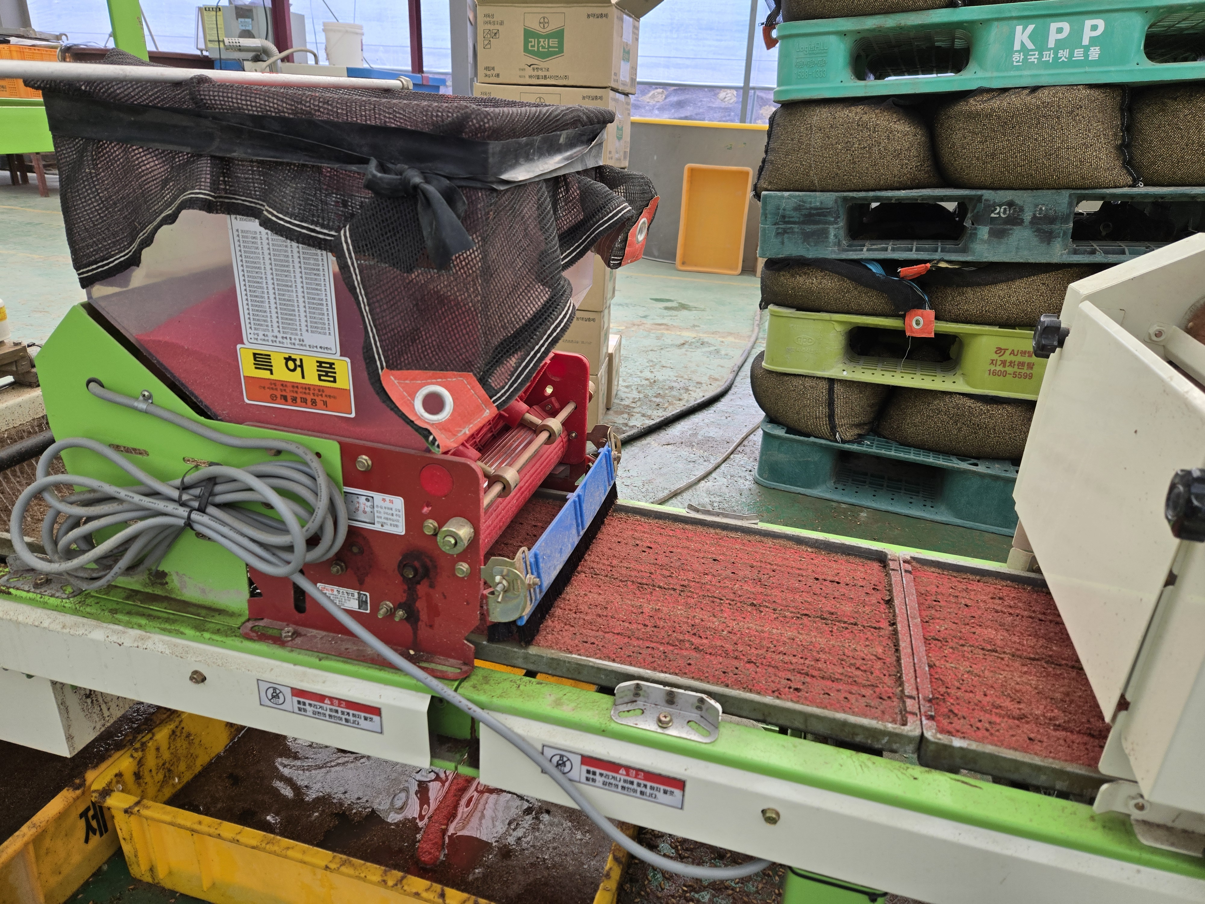 강화군,_“벼_병해충_방제_약제_지원_신청하세요”(육묘상자에_약제가_도포된_모습)