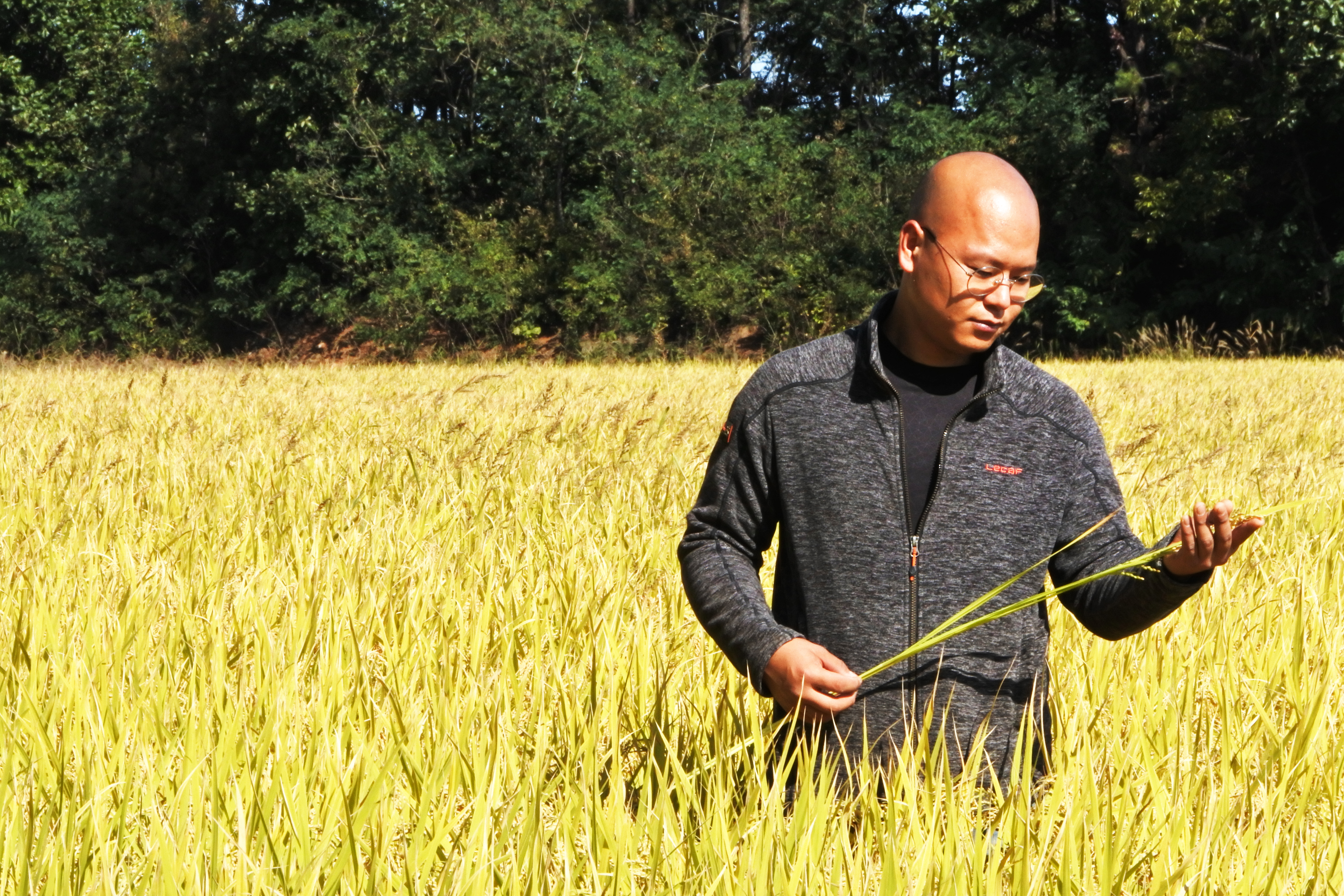 강화군,_지역_청년_농업인_활약에_지원_정책_‘주목’(2_신지식_농업인에_선정된_한성희_강화드림_대표)