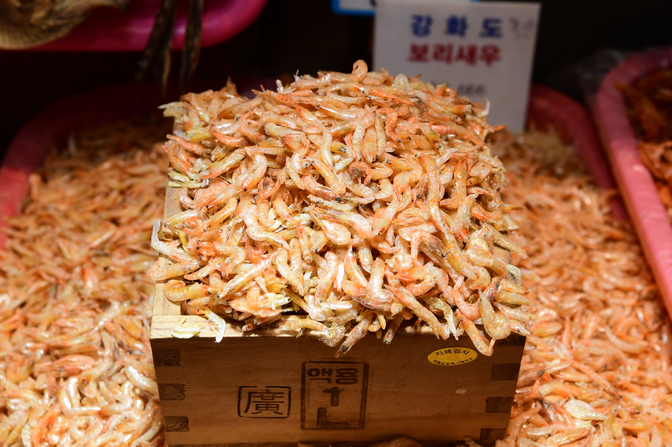 강화군,_수산물_건조기_지원_신규_추진…_연중_생산_체계_구축_․_유통_경쟁력_강화(자료사진)