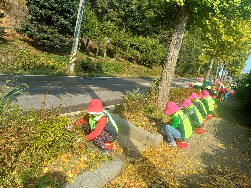불은면_농가주부모임,_나들길_화단_잡초_싹…_끗한_불은면_만들기_앞장(1)