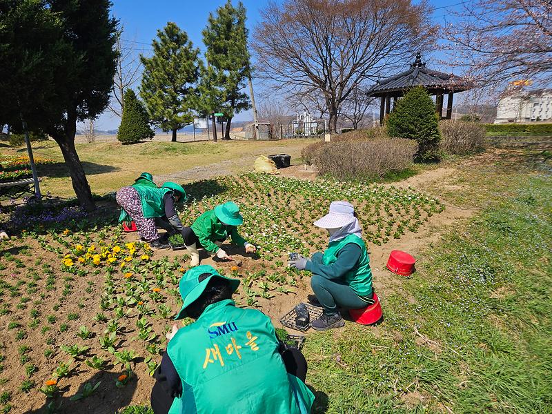 불은면_새마을부녀회,_걷기_좋은_봄_길_완성…광성보에_꽃이_피었습니다!