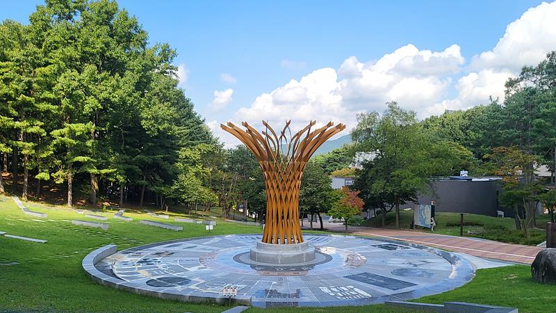 강화군, ‘마니산 치유의 숲’ 웰니스 프로그램 운영 시작… 힐링 명소로 인기 사진