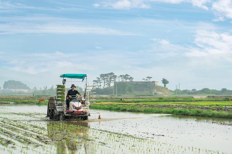 강화군_청년_농업인_한성희_대표,_농식품부_‘신지식_농업인’_선정(2)