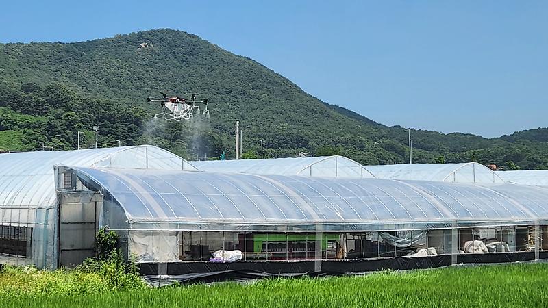 강화군, 드론으로 비닐하우스 온도 낮추는 차광제 지원사업 ‘인기’ 사진