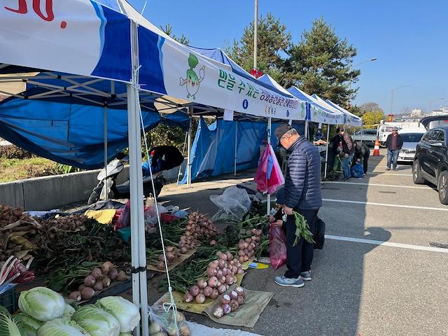 강화군, 김장 물가 부담 덜어줄 직거래 장터… 11월 9일부터 21일간 김장시장 사진