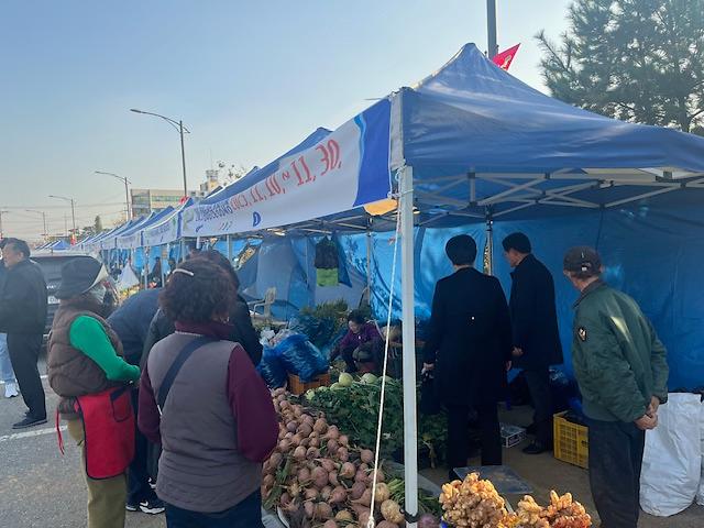 강화군,_김장_물가_부담_덜어줄_직거래_장터…_11월_9일부터_21일간_김장시장(2)
