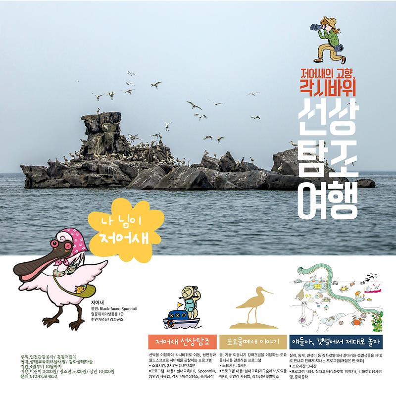 강화군, 저어새와 함께하는 생태관광 물꼬 튼다 사진