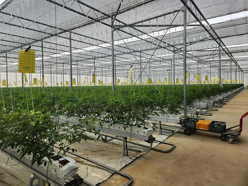 강화군,_올해_농업기술보급에_64억_투입…_첨단농업_전환_속도(1)