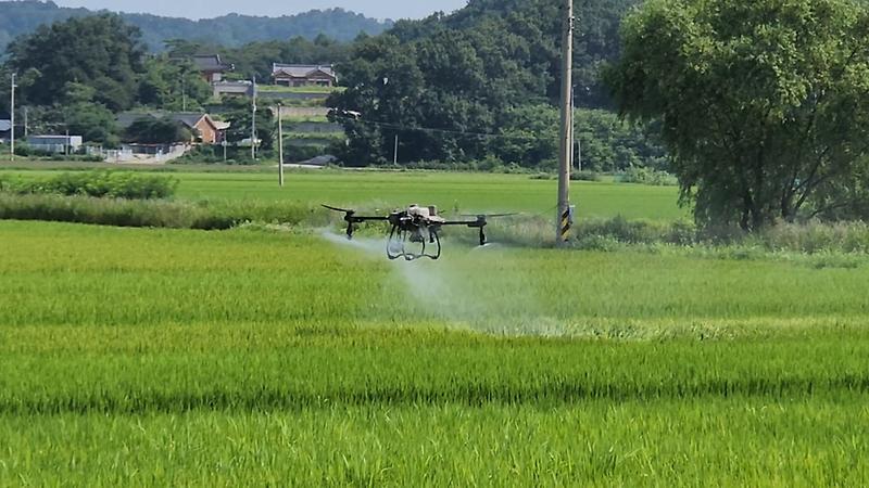 강화군,_올해_농업기술보급에_64억_투입…_첨단농업_전환_속도(2)