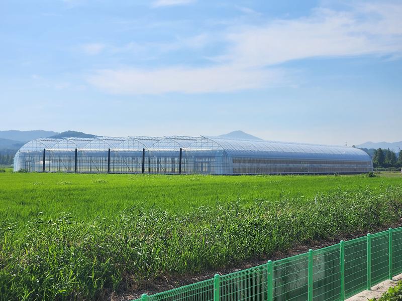 강화군,_올해_농업기술보급에_64억_투입…_첨단농업_전환_속도(3)