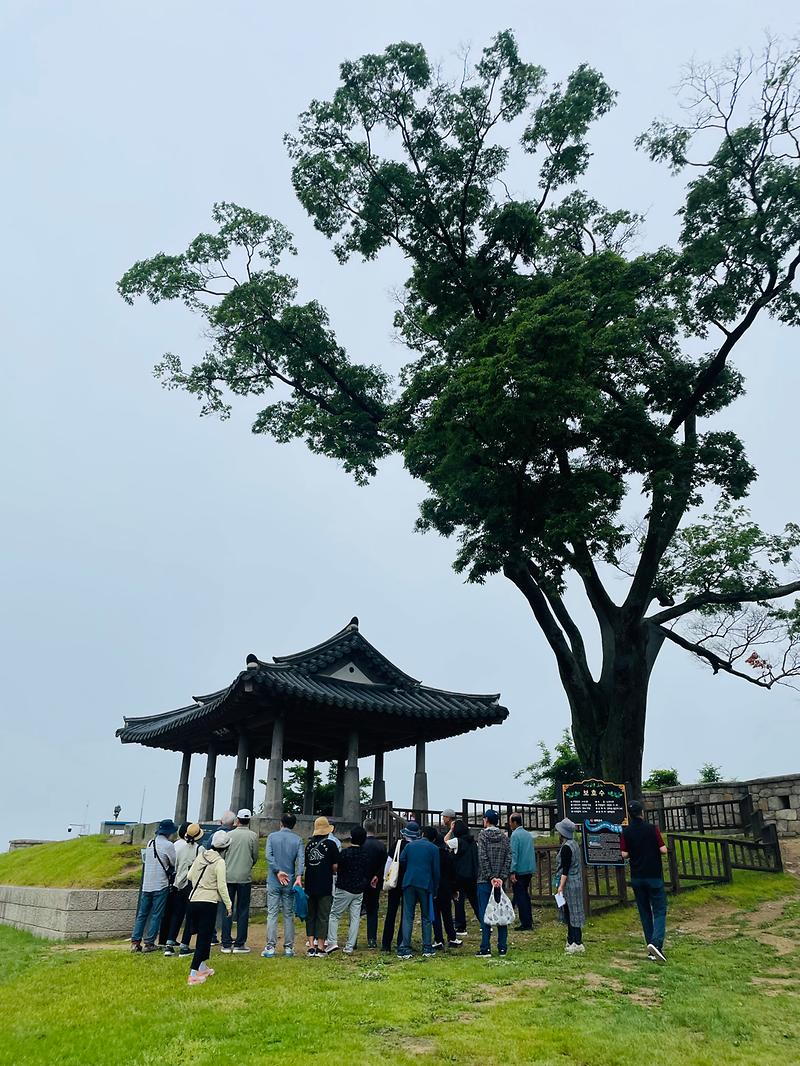 강화군노인복지관,_강화의_이야기를_전할_예비_해설사를_모집합니다!