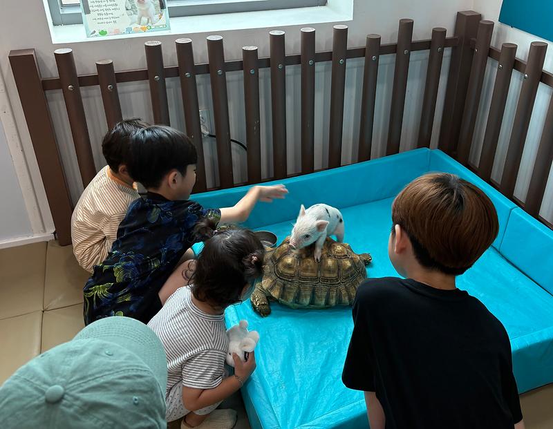 강화행복_키즈카페,_아이들_웃음_가득한_여름방학_선물(1)