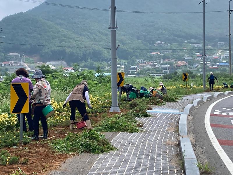 길상면_새마을부녀회,_화단_정비에_구슬땀(2)